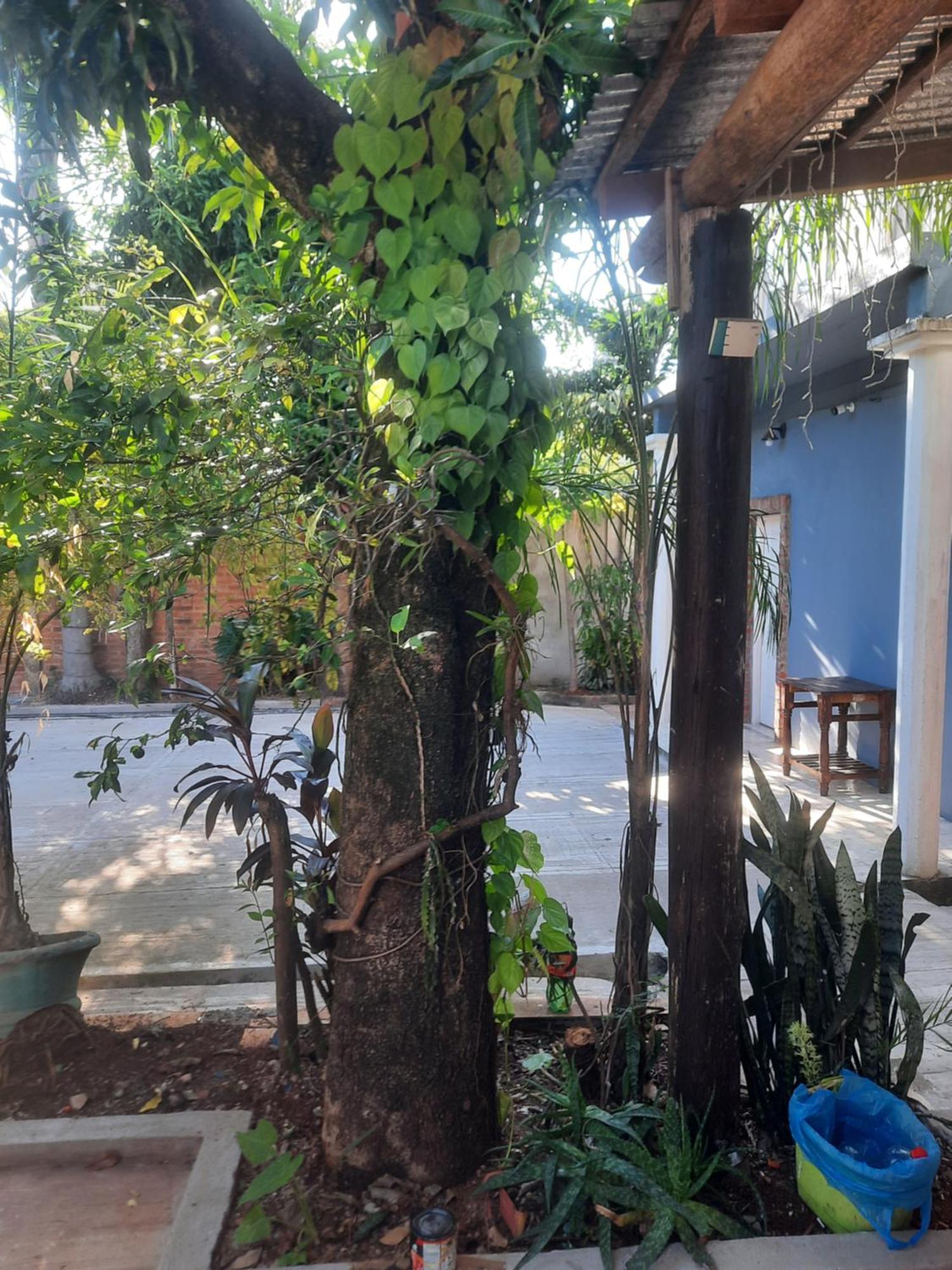 La Posada De Dante Puerto Iguazú Dış mekan fotoğraf