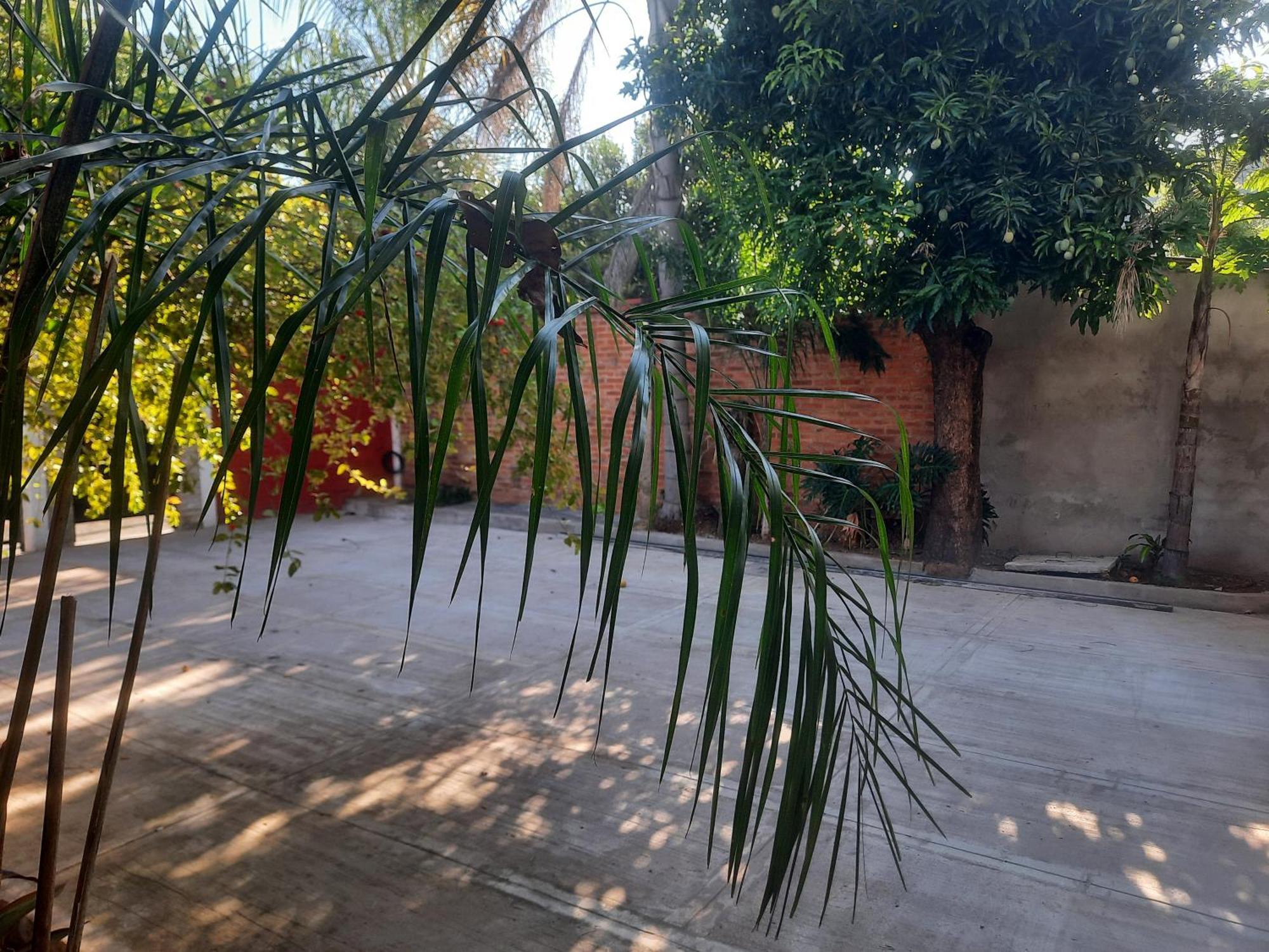 La Posada De Dante Puerto Iguazú Dış mekan fotoğraf